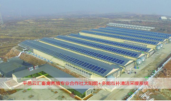 平邑云匯畜禽養殖太陽能熱水與取暖工程 (20).jpg
